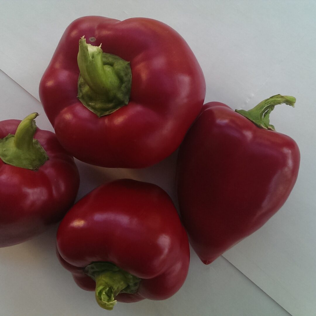 Paprika Babura crvena