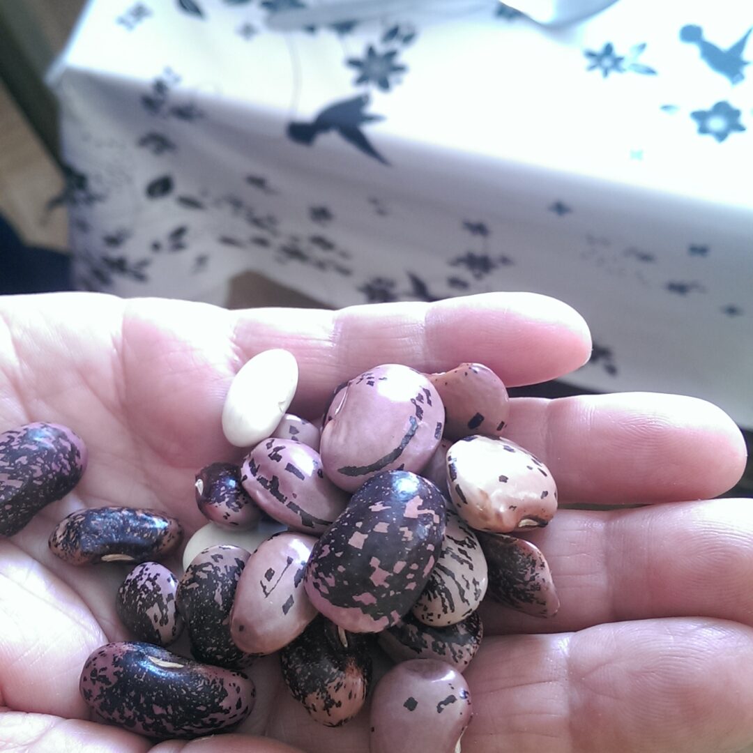 Alternative view of Grah Salatar visoki