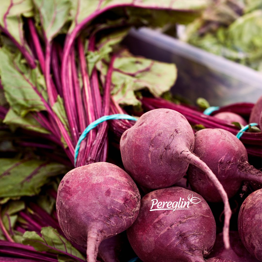 Alternative view of Cikla