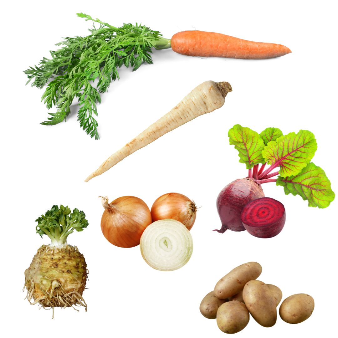 Sjeme korjenastog povrća