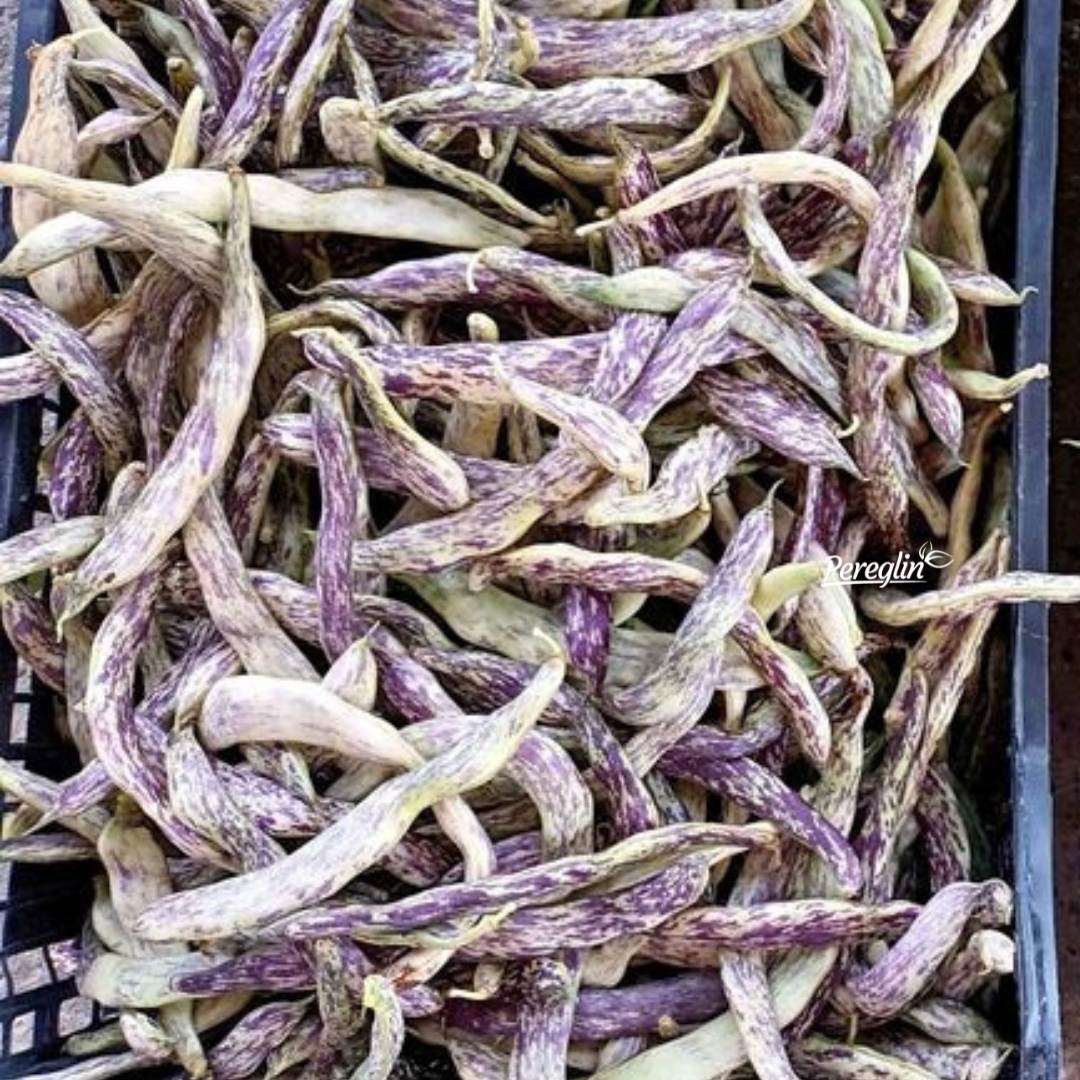 Alternative view of Mahune niske šarene