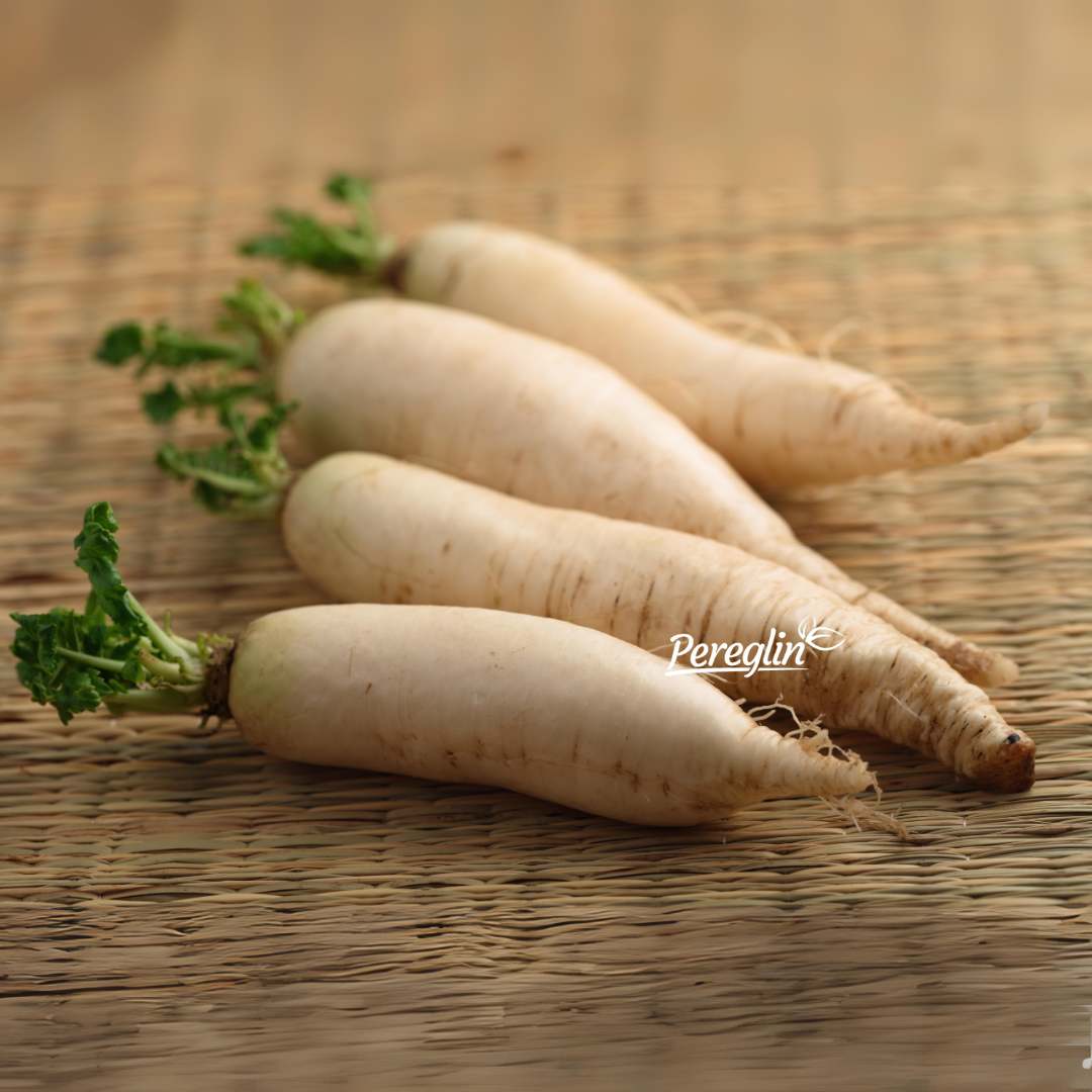 Daikon