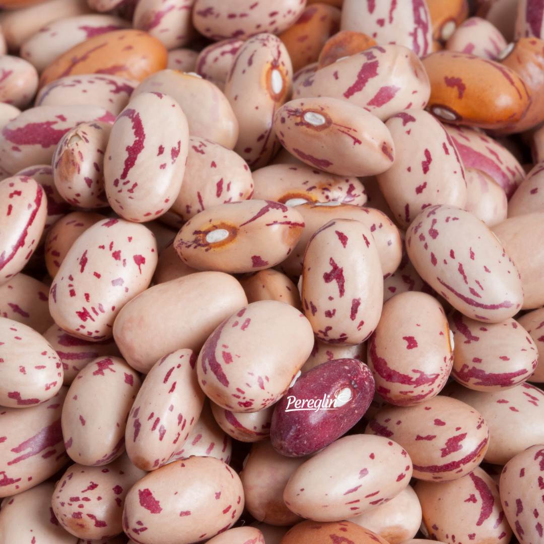 Grah Niski Trešnjevac