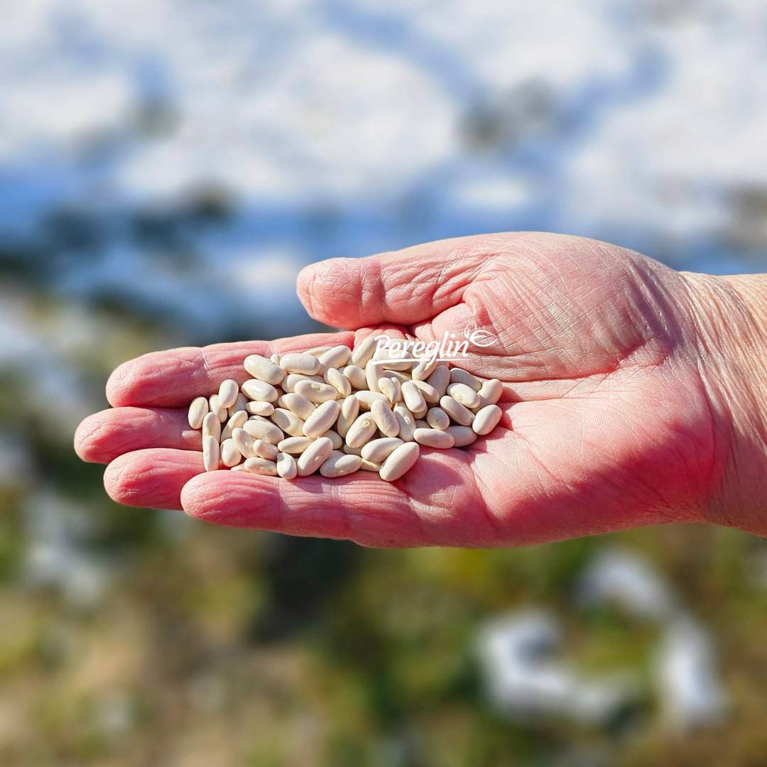Alternative view of Mahune niske žute