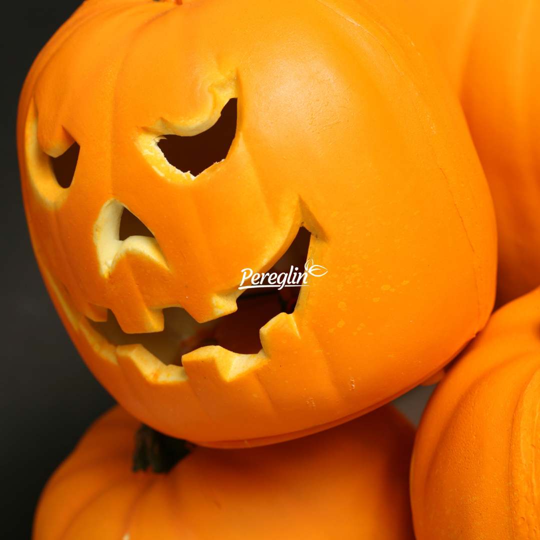 Alternative view of Obična domaća tikva