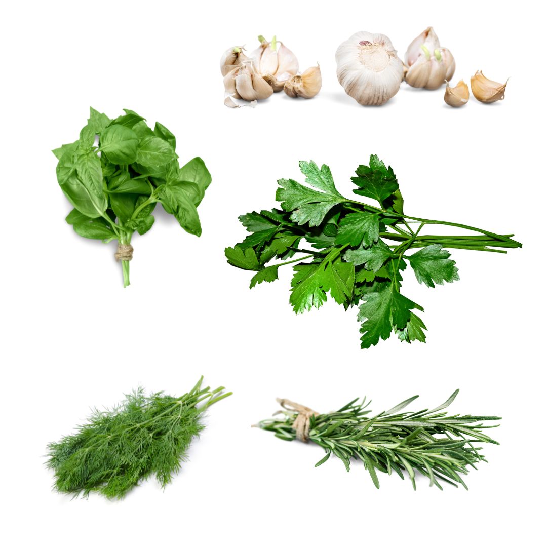 Sjeme začinskog povrća