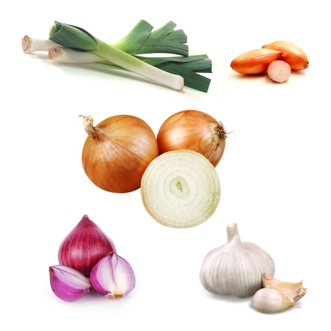 Sjeme lukovičastog povrća