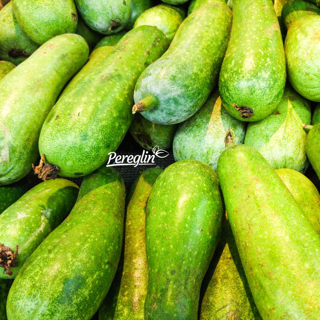 Zelene tikvice - Slika 2